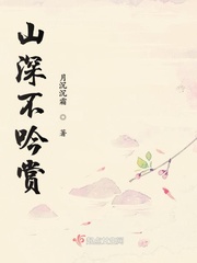 ɽ�����